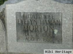 Evelyn Haman Morton