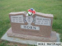 Dorothy Ann Horn