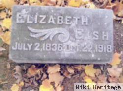 Elizabeth Gish