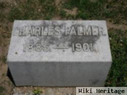 Charles Albert Palmer, Jr