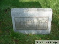 Charles E Spetz