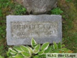 Richard E Cook