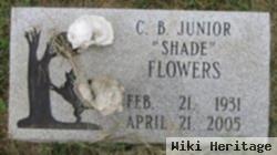 Junior "shade" Flowers