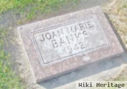 Joan Marie Banks