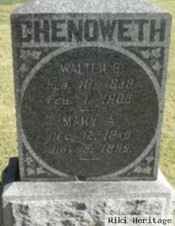 Walter Briscoe Chenoweth