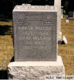 Diana Millard Wilcox