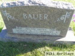 Monica H. Wild Bauer