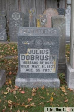 Julius Dobrusin