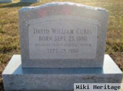 David William Cubel