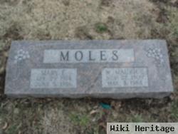 William Maurice Moles