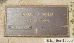 Carol J. Wild
