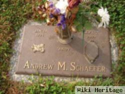 Andrew M Schaefer