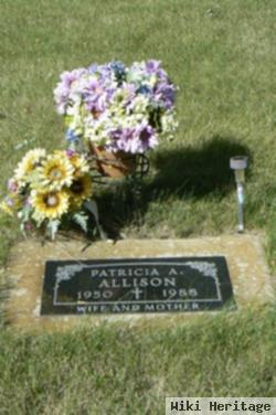 Patricia Ann Obermoiler Allison