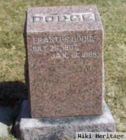 Erastus Dodge