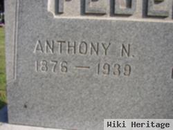 Anthony N. Federle