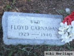 Floyd E. "bud" Carnahan, Jr