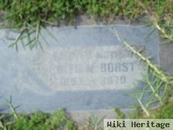 Edith Mary Vanthomme Borst