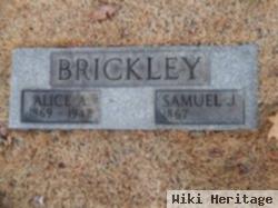 Samuel J Brickley