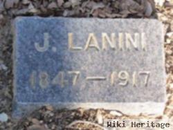 J Lanini