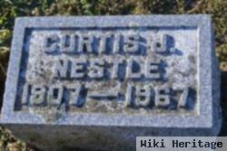 Curtis J Nestle