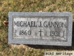 Michael J Gannon