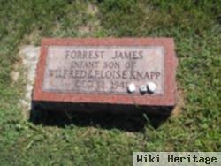 Forrest James Knapp