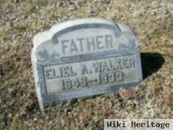 Eliel Allen Walker