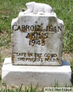 Carroll Jean Akins