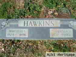 Marcellus Hawkins