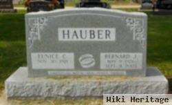 Bernard J Hauber