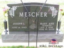 Mary Ann Schmitz Mescher