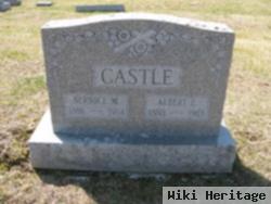 Albert E. Castle