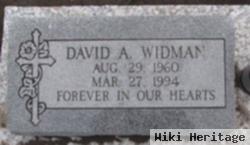 David A. Widman