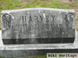 Elizabeth E. "lizzie" Meador Harvey Gullick