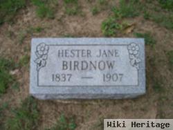 Hester Jane Birdnow