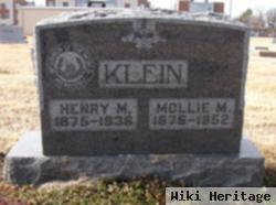 Henry Micheal Klein