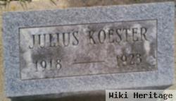 Julius Koester