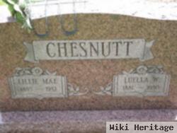 Luella W Chesnutt