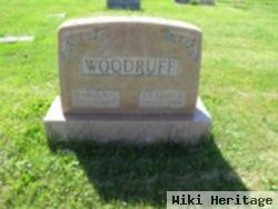 Harold G Woodruff