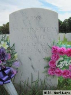 Antoinette Sadie "ann" Schmidt Brown