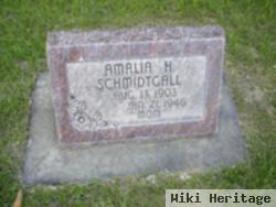 Amelia H Huva Schmidtgall