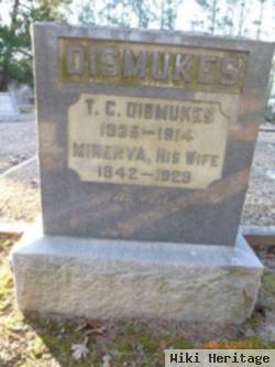 Thomas C Dismukes