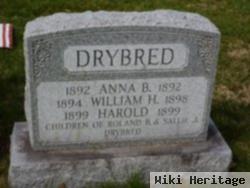 William H. Drybred