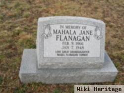 Mahala J Flanagan