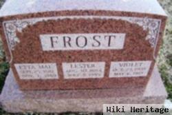 Violet Frost