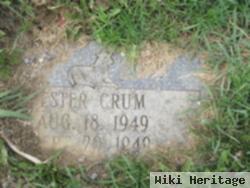 Ester Crum