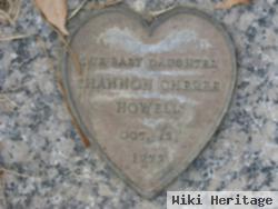 Shannon Cheree Howell