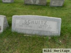 Albert E Schultz