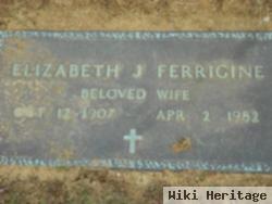 Elizabeth J. Ferrigine