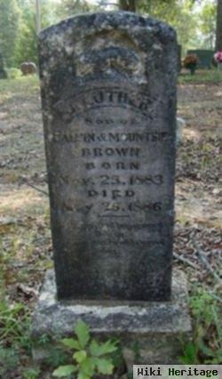 J. Luther Brown